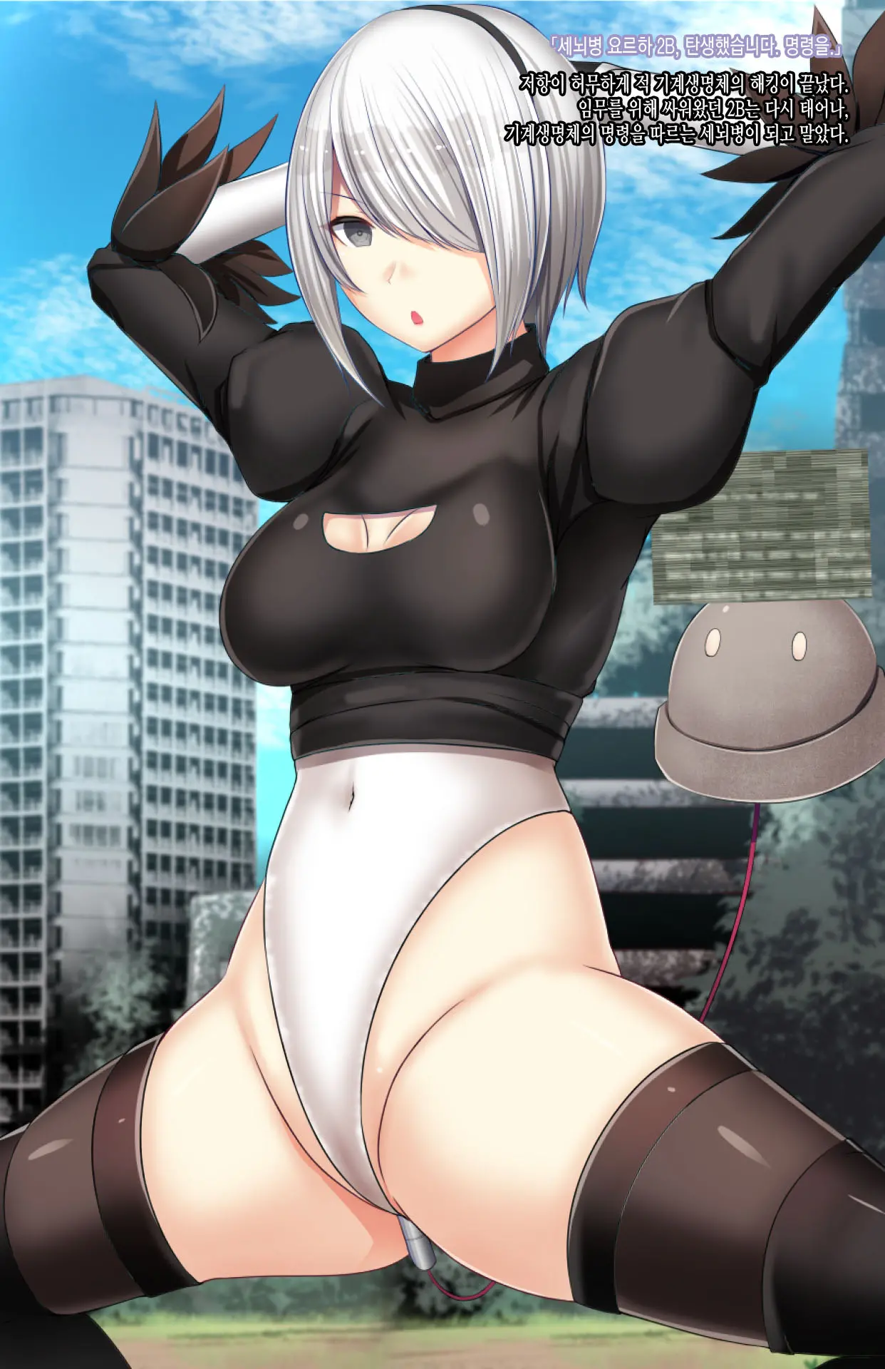 Mousouverse -H Card CG Shuu- Vol. 4